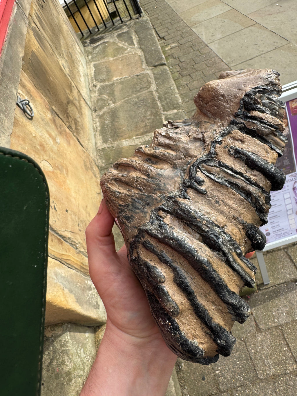 Fossilised Woolley Mammoth Tooth