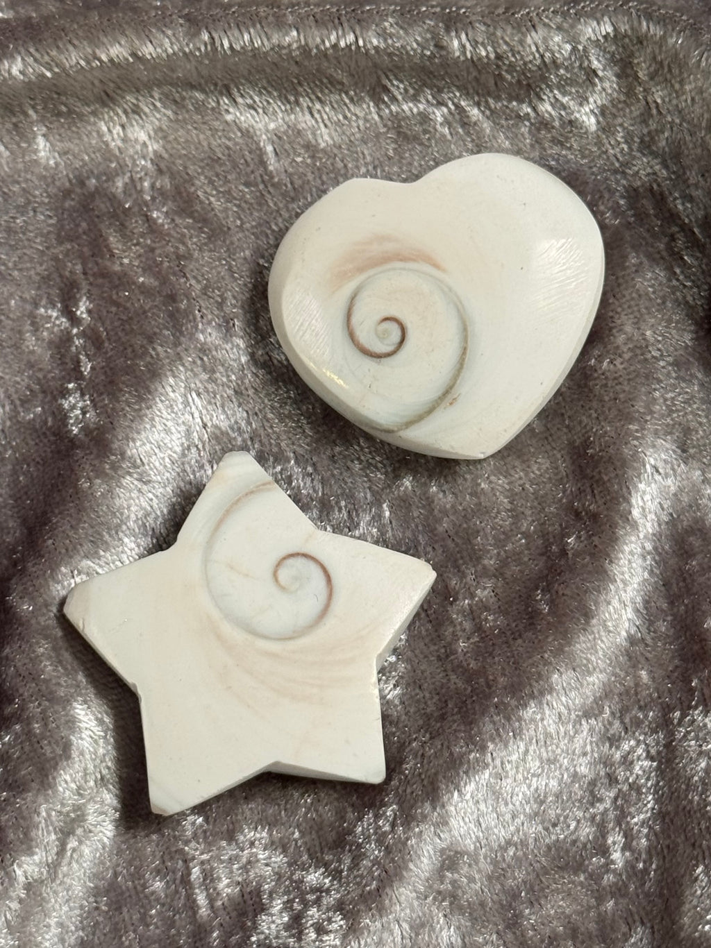 Shiva Shell Shape