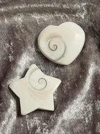 Shiva Shell Shape