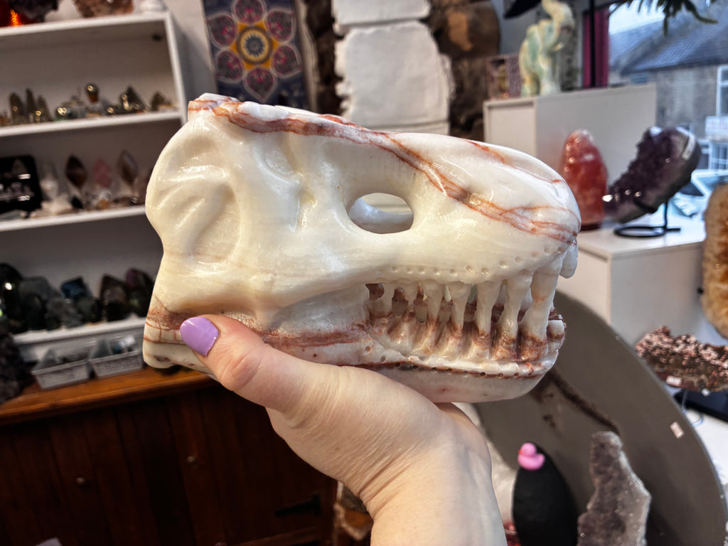 T-Rex skull carving