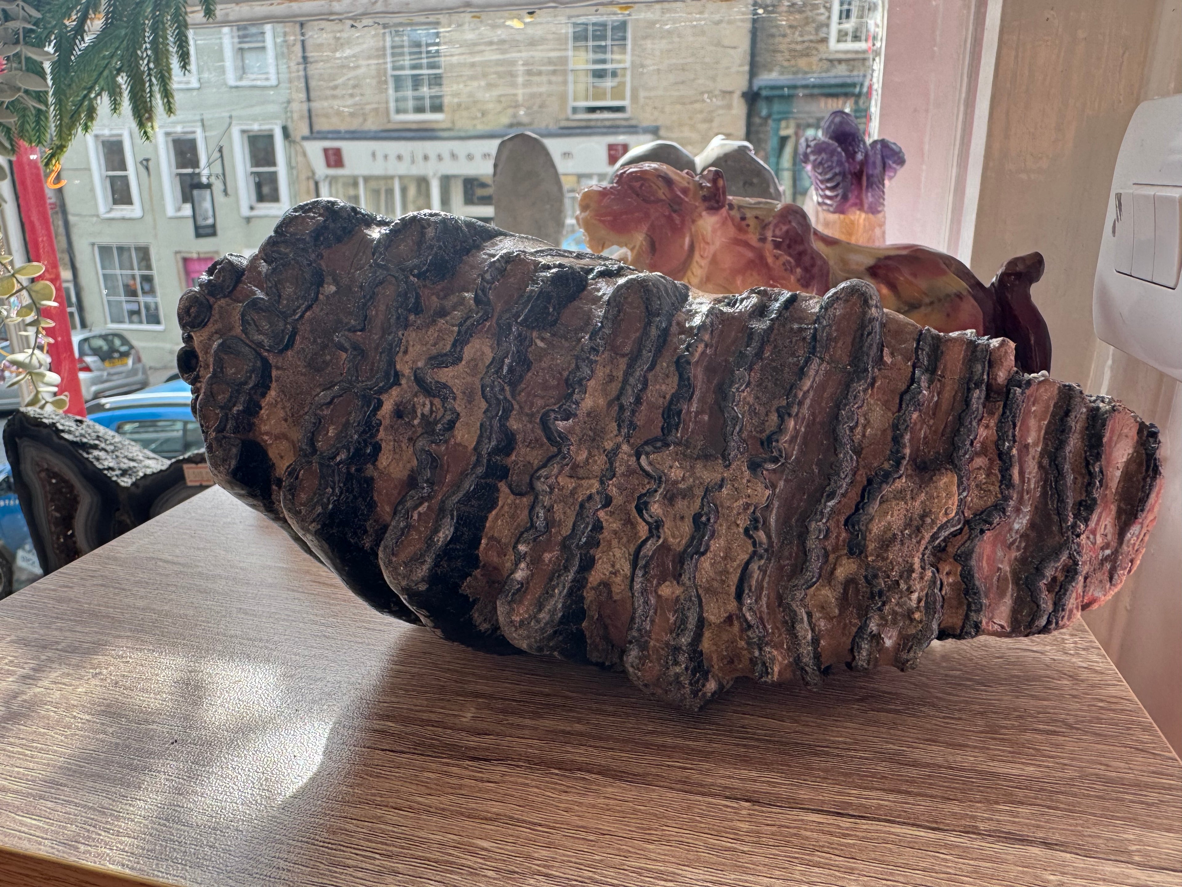 Fossilised Woolley Mammoth Tooth