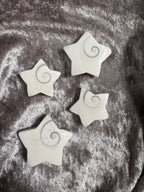 Shiva Shell Shape