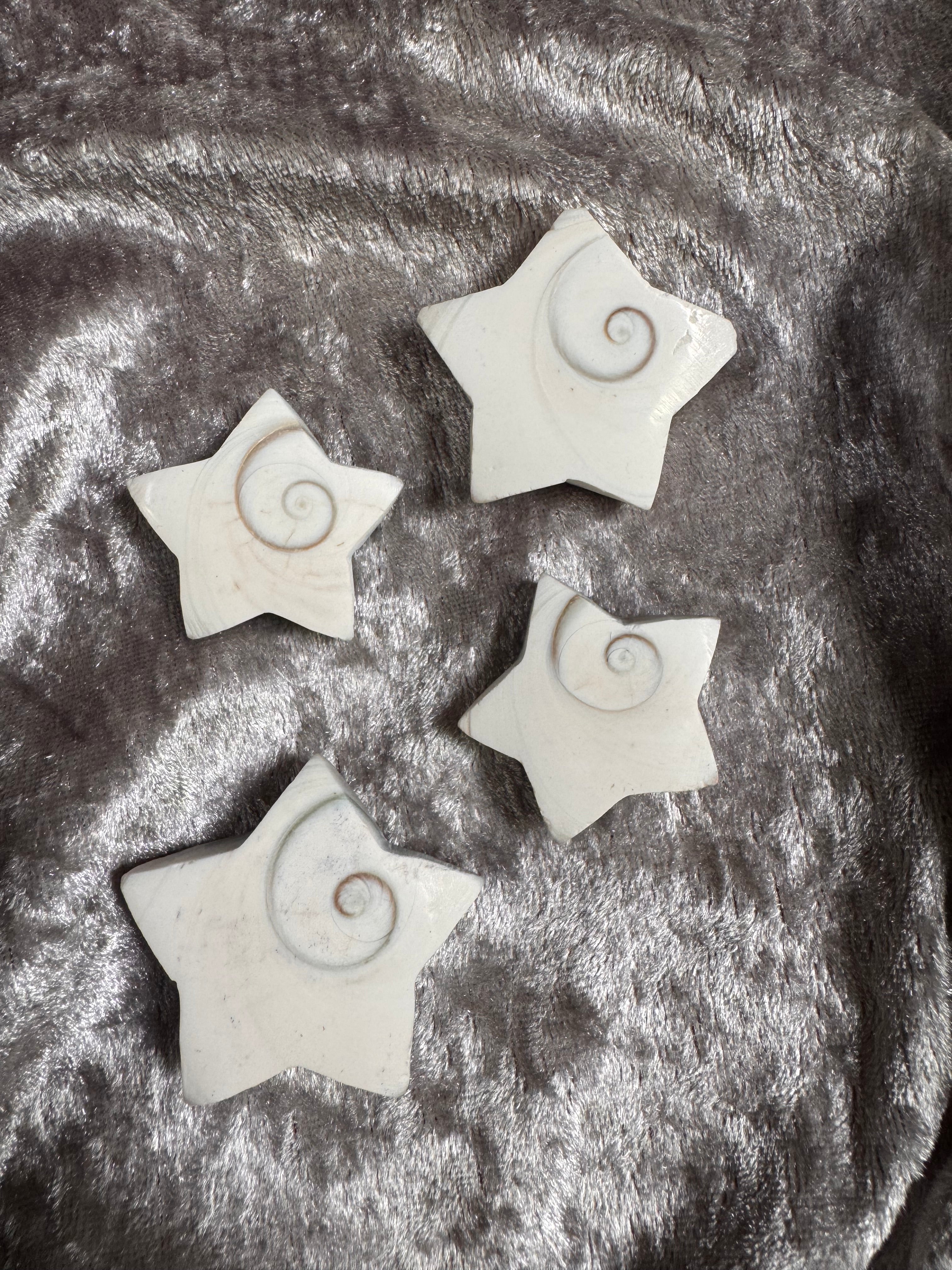 Shiva Shell Shape