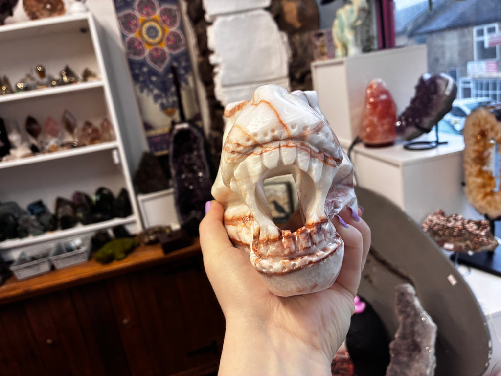 T-Rex skull carving