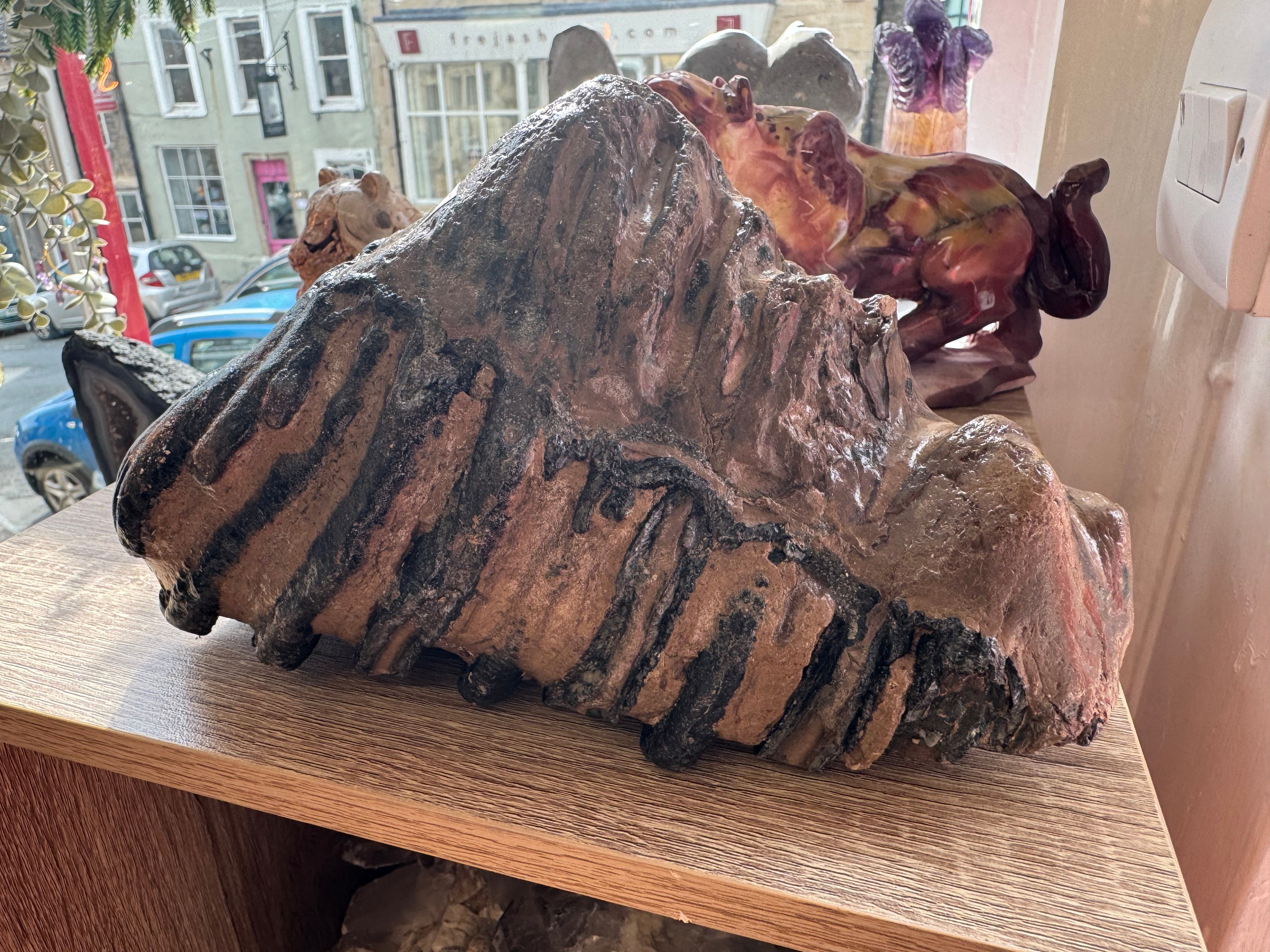 Fossilised Woolley Mammoth Tooth