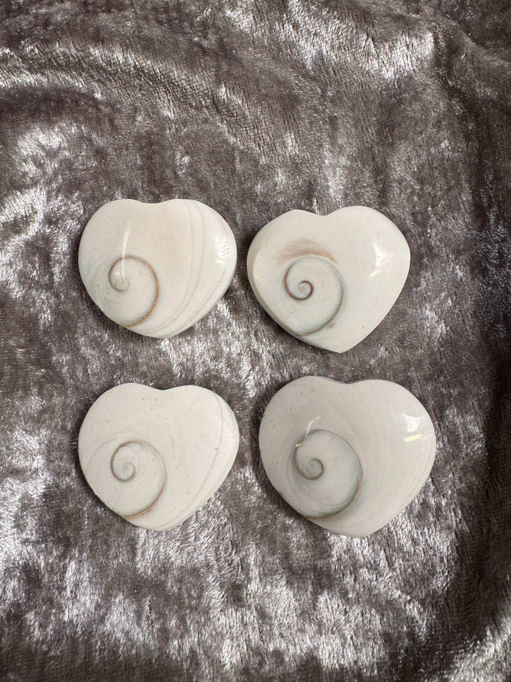 Shiva Shell Shape