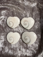 Shiva Shell Shape
