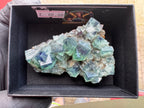 Pyjama Pocket Fluorite Specimen