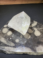 Clear Quartz Cut Base Poibt