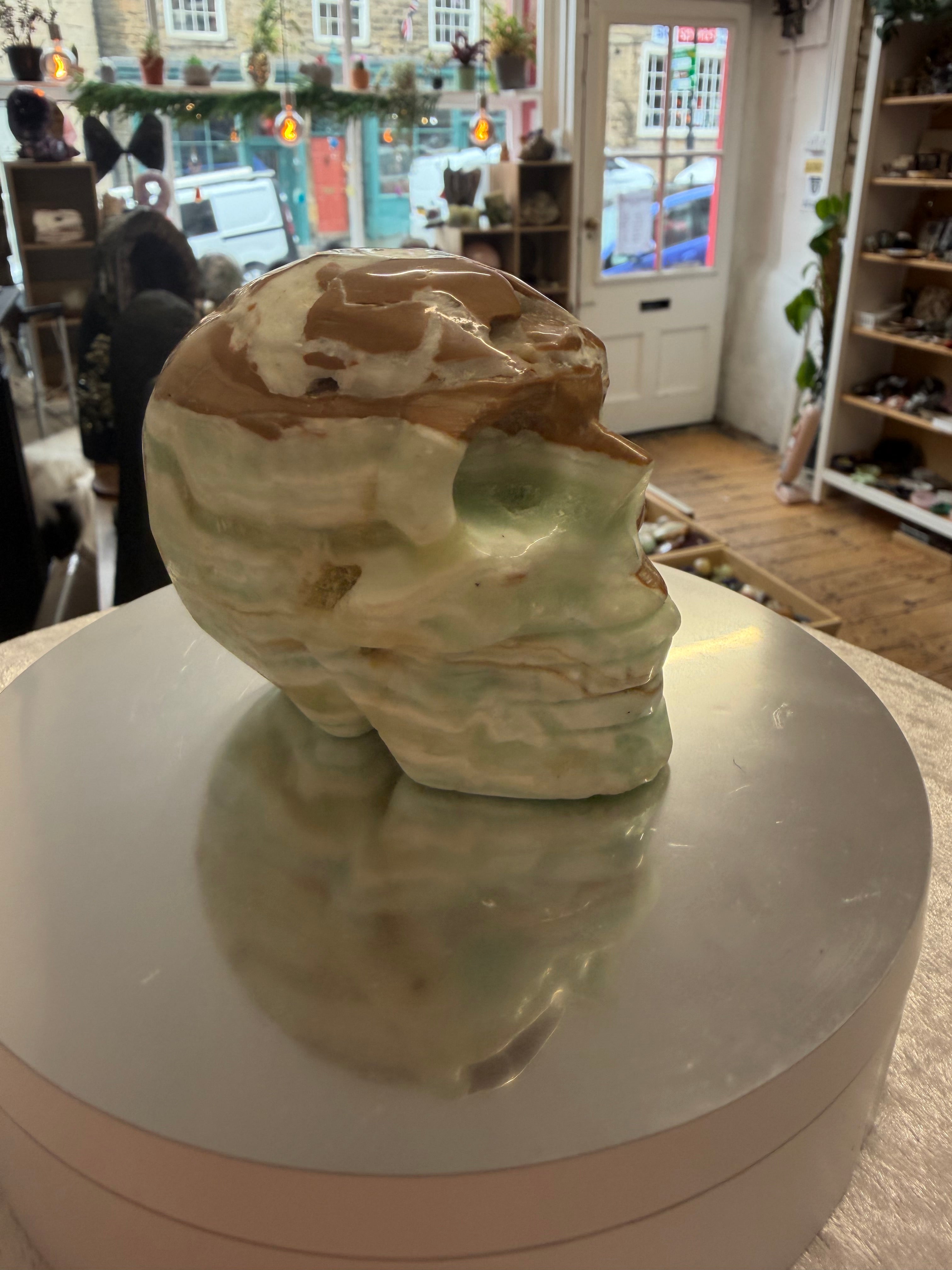 Caribbean Calcite Skull