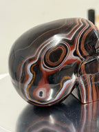 Sardonyx skull
