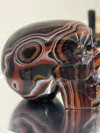 Sardonyx skull