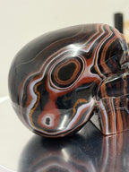 Sardonyx skull