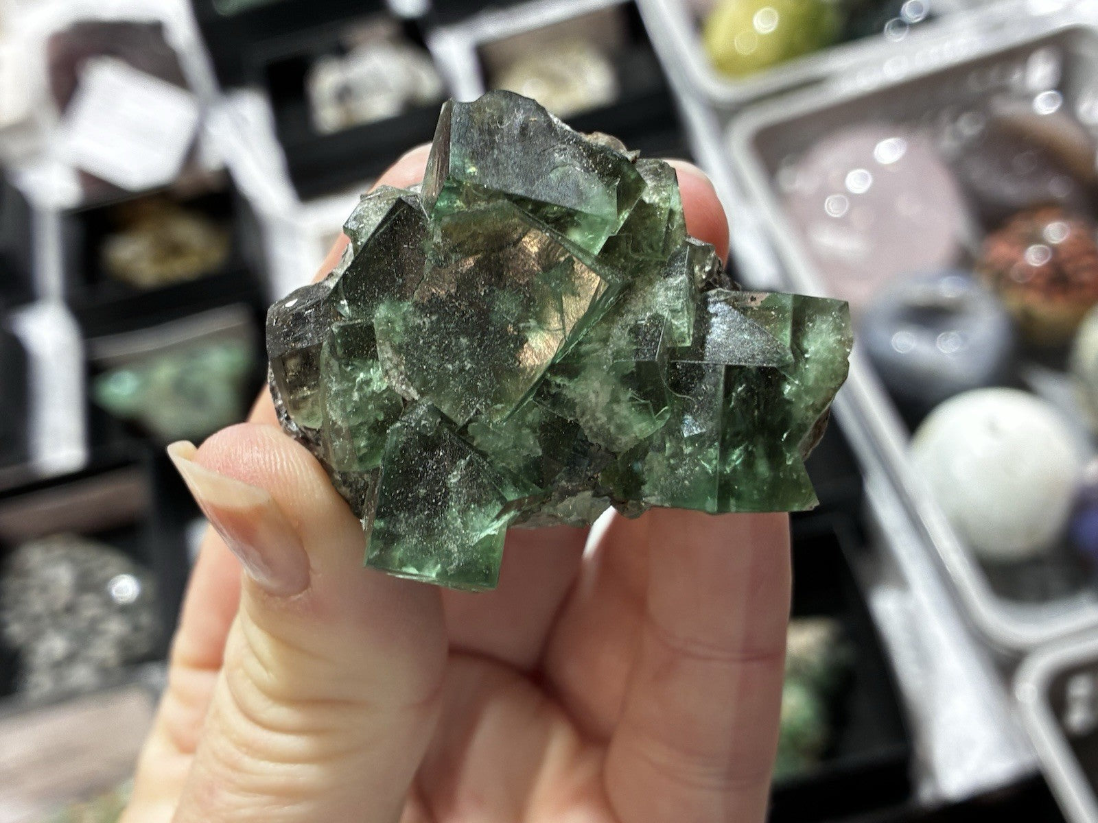 Big Whopper Fluorite UKMV