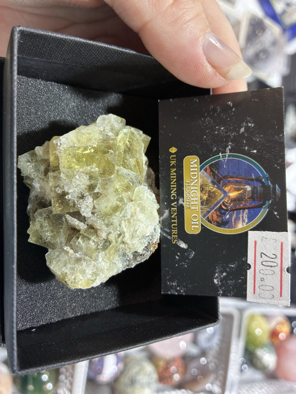 Midnight Oil Fluorite UKMV