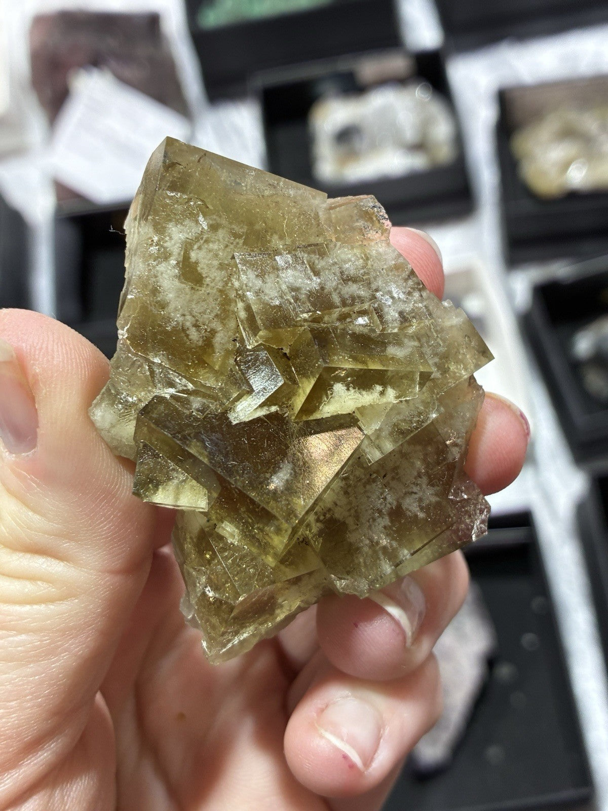 Honey Bear Fluorite UKMV
