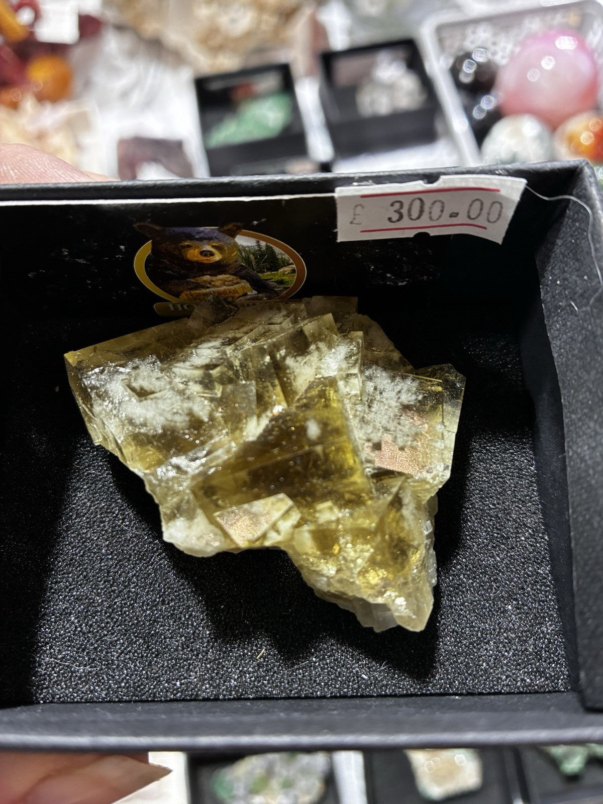 Honey Bear Fluorite UKMV