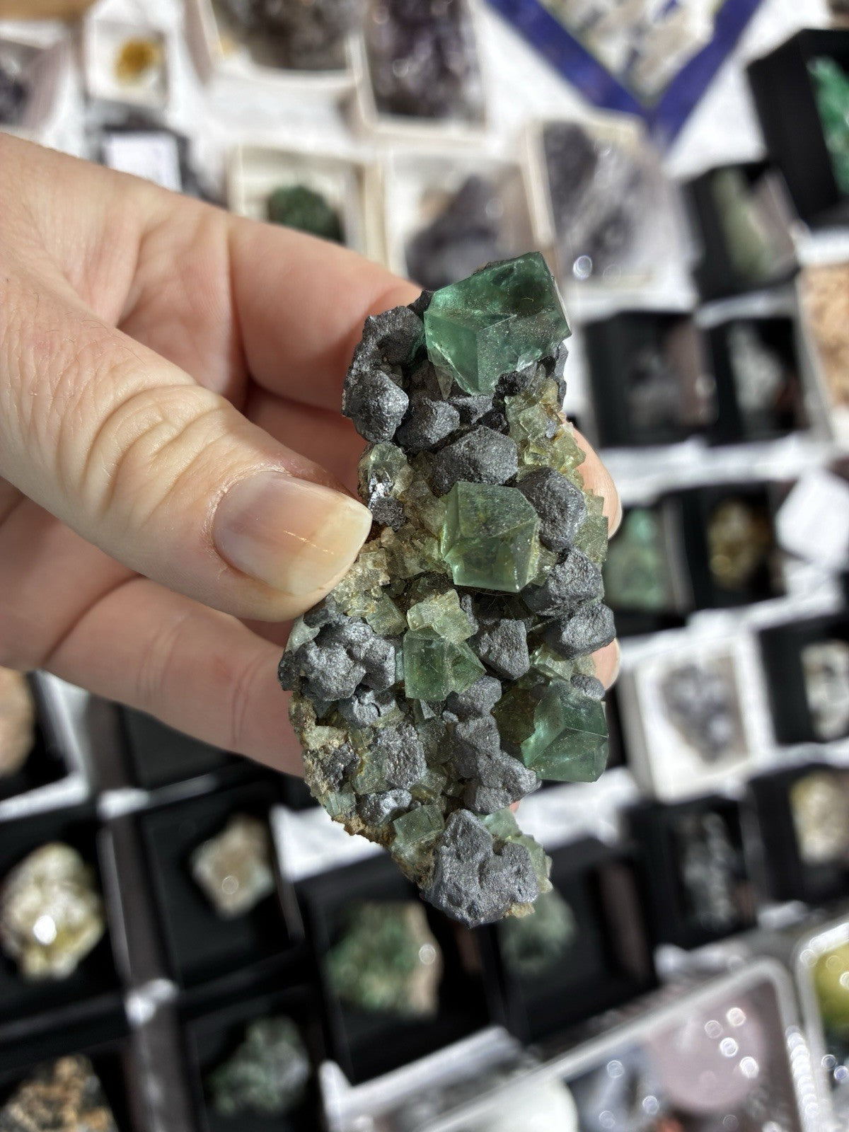 Pocket 42 Fluorite UKMV
